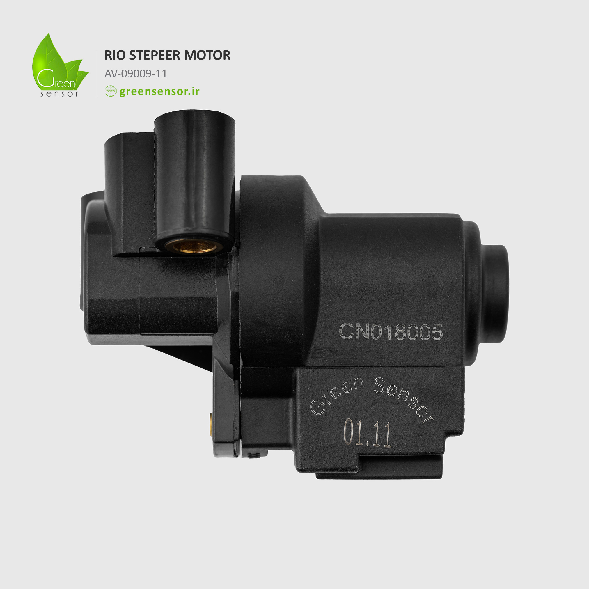 GreenSensor-استپر موتور ریو (RIO)